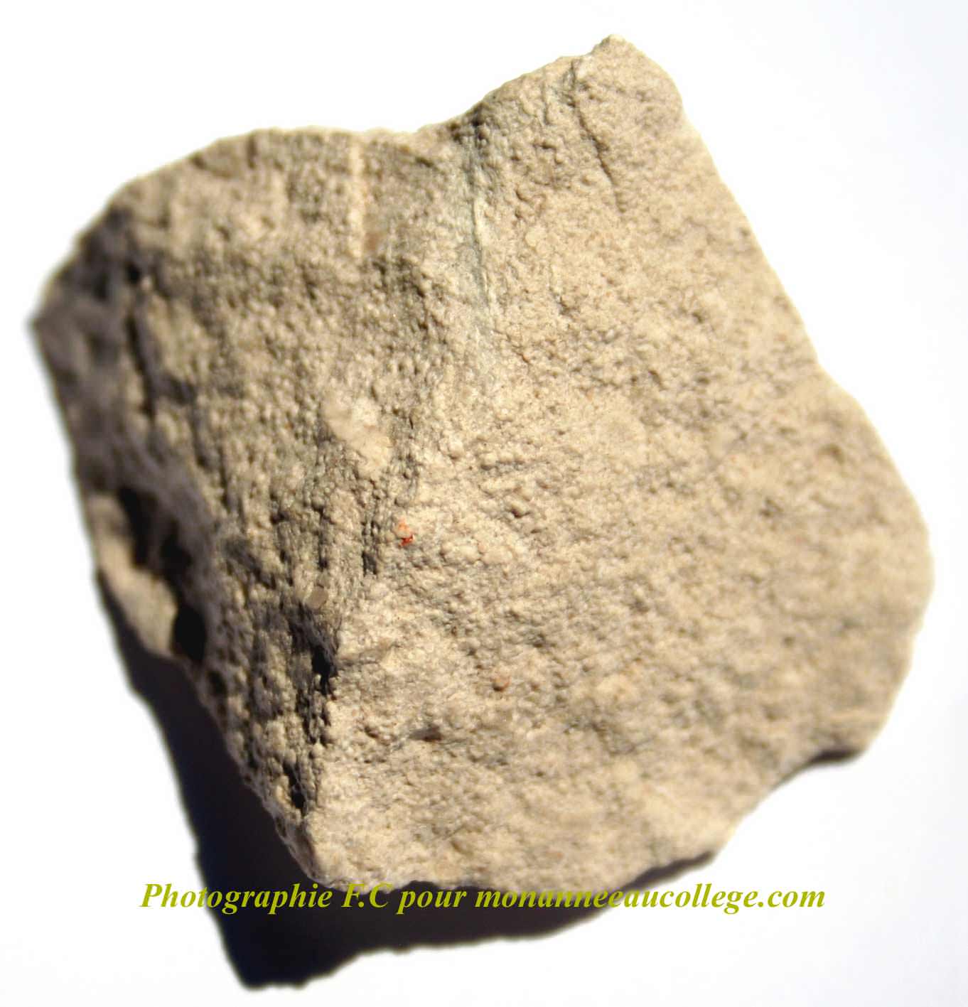 Calcaire sublithographique à débit en dalles : le « Calcaire de